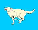 Dibujo Perro corriendo pintado por dumbass