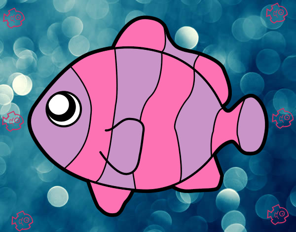 el pez rosado 