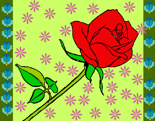 mi rosa