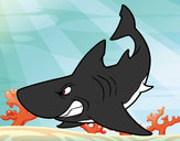 Dibujo Tiburón enfadado pintado por dingodail