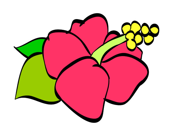 Dibujo de Flor de lagunaria pintado por Mimota en Dibujos