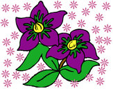 Dibujo Flores 3 pintado por denisse29