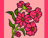 Dibujo Flores pintado por fabiola3