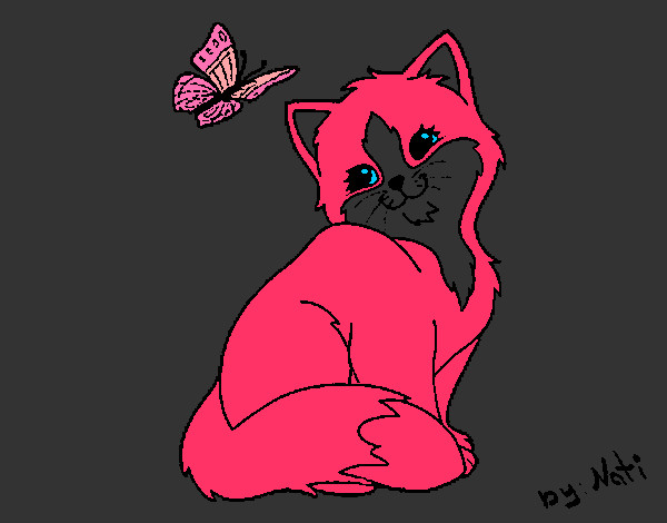 Gatito y mariposa