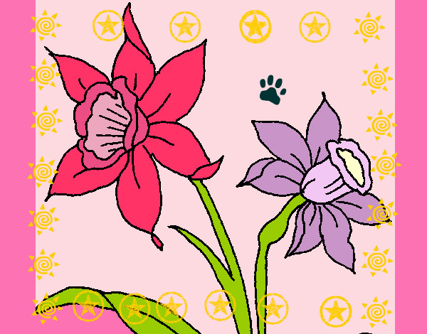 Dibujo Orquídea pintado por gatis413
