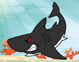 Dibujo Tiburón enfadado pintado por erik8