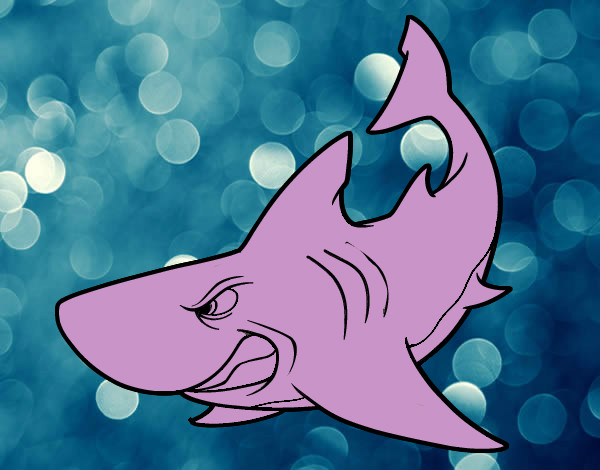 Dibujo Tiburón enfadado pintado por Vikcylara