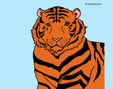 Dibujo Tigre 3 pintado por Dibujos-nt