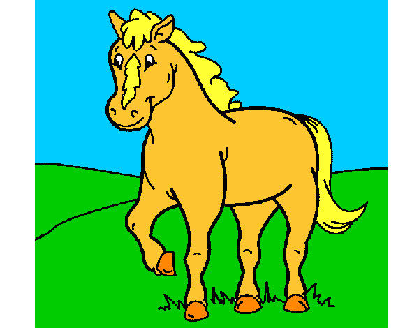 caballo cimarron