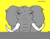 Dibujo Elefante africano pintado por JEFTE