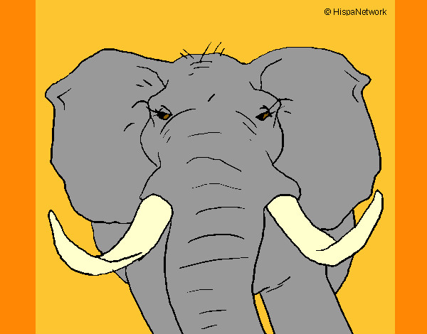 Dibujo Elefante africano pintado por PEPITAYO5