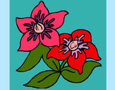 Dibujo Flores 3 pintado por rebemania
