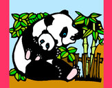 Dibujo Mama panda pintado por PEPITAYO5
