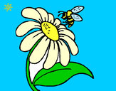 Dibujo Margarita con abeja pintado por makalinda