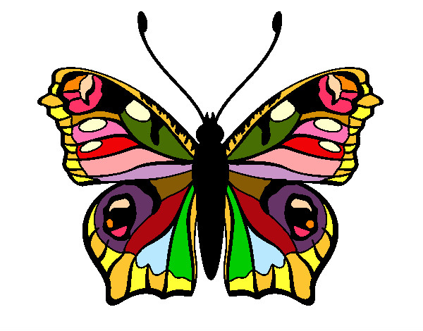  Dibujo de mariposa de varios colores pintado por Janmafer en Dibujos.net el día
