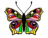 Dibujo Mariposa 20 pintado por janmafer