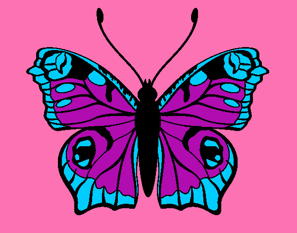 Dibujo Mariposa 20 pintado por marjoca