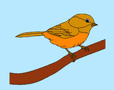Dibujo Pájarito 1 pintado por Martina100