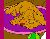 Dibujo Perro durmiendo pintado por marjoca