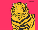 Dibujo Tigre 3 pintado por Lunaselena
