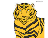 Dibujo Tigre 3 pintado por yamin1230