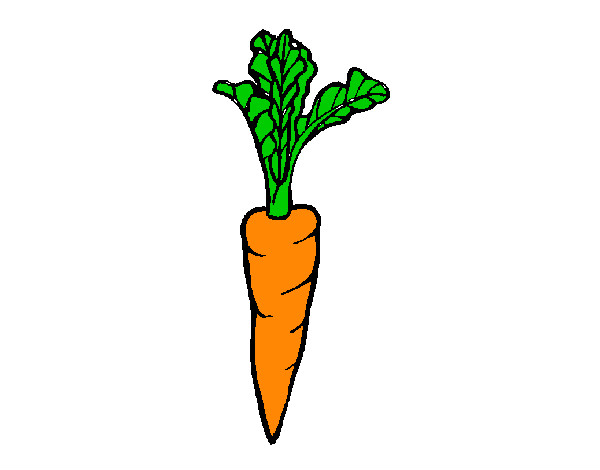 Dibujo de zanahoria pintado por Samantina1 en  el día 04-08-12 a  las 04:41:26. Imprime, pinta o colorea tus propios dibujos!