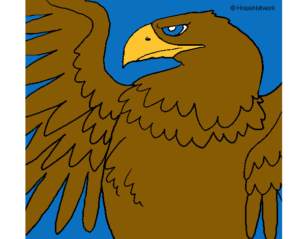 águila