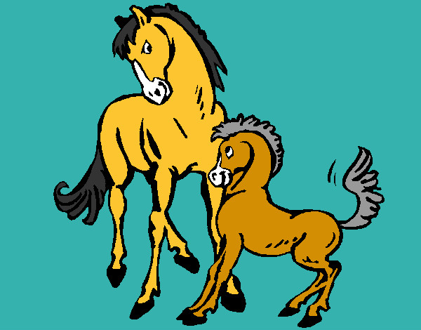 caballos