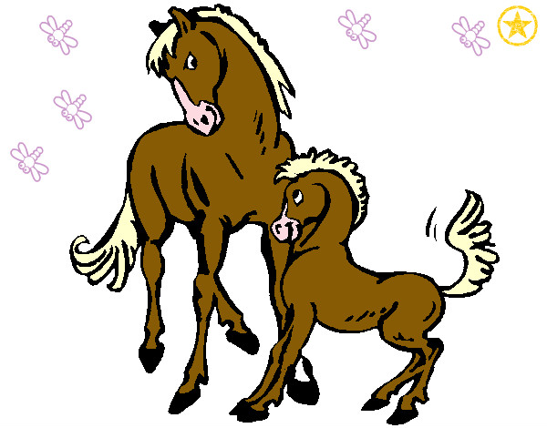 Caballos