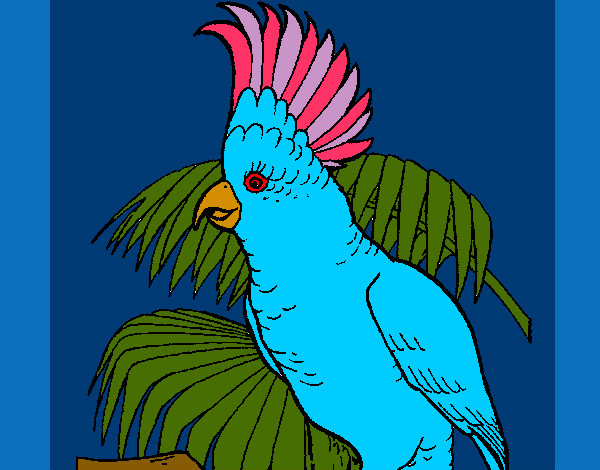 Dibujo Cacatúa pintado por stipp