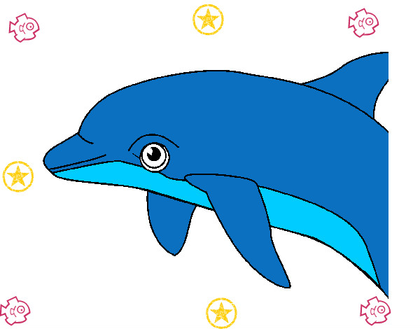 delfin 