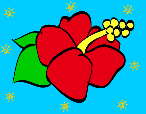 Dibujo Flor de lagunaria pintado por inariama