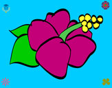 Dibujo Flor de lagunaria pintado por karen01