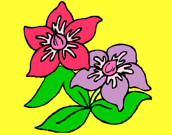 Dibujo Flores 3 pintado por angie511