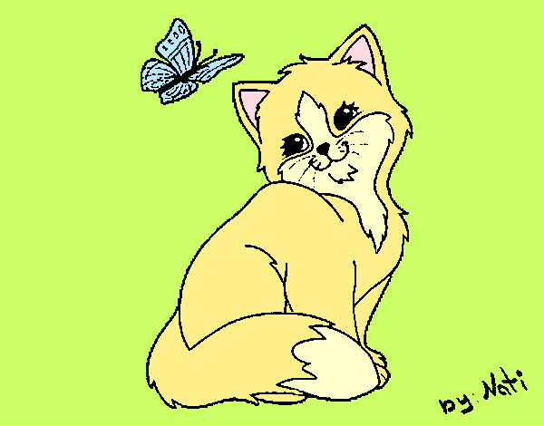 Gatito y mariposa 