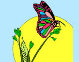 Dibujo Mariposa en una rama pintado por Evita123