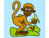 Dibujo Mono pintado por m-l-p-c