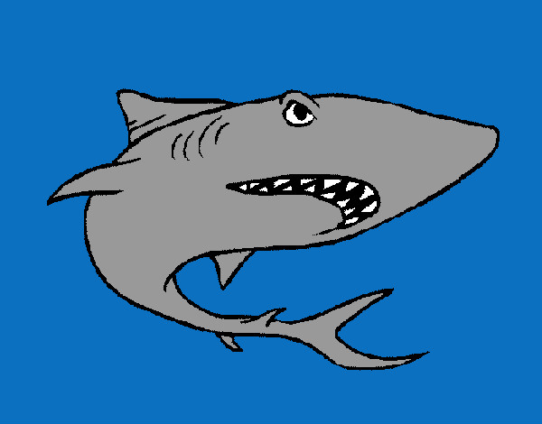 Dibujo Tiburón pintado por JEFTE