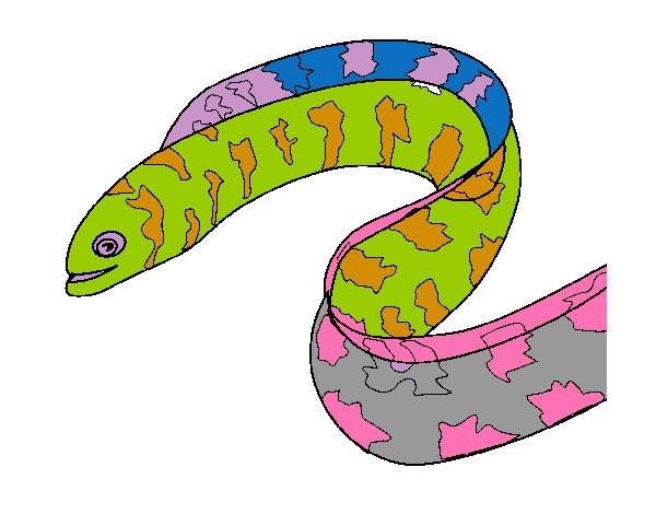 anguila marina
