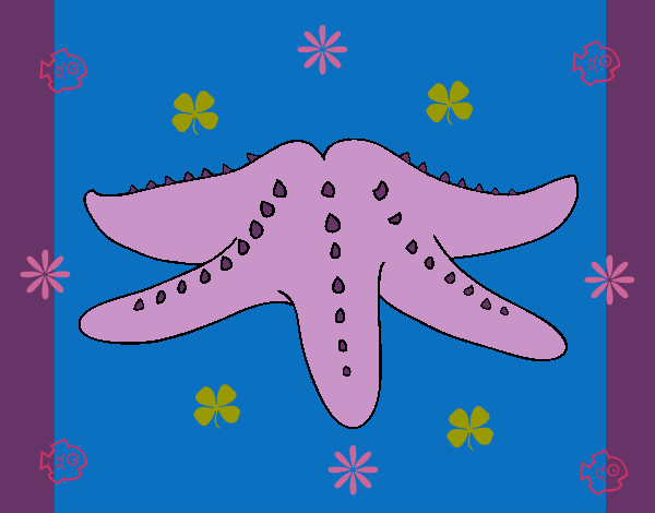 Dibujo Estrella de mar 2 pintado por zoeliux