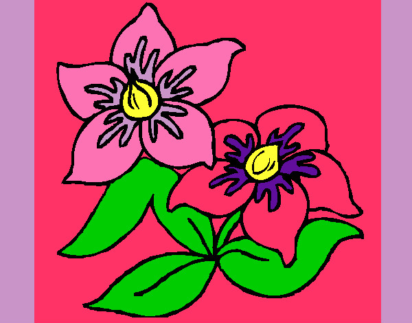 Dibujo Flores 3 pintado por sofi2001