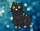 Dibujo Gato simpático pintado por Chispas201