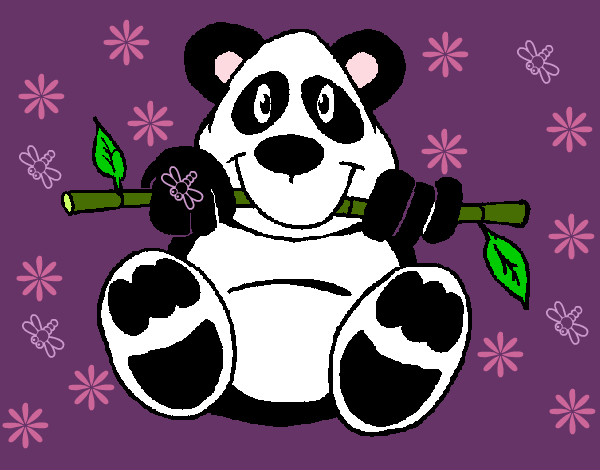 osita panda 
