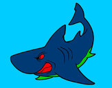Dibujo Tiburón enfadado pintado por joba