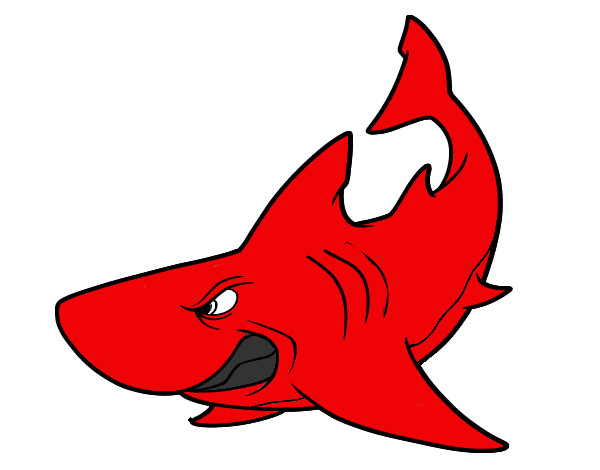 Dibujo Tiburón enfadado pintado por joba