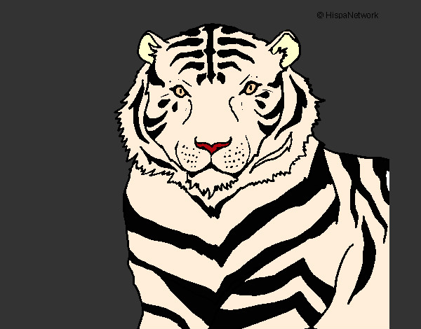 Dibujo Tigre 3 pintado por claudia189
