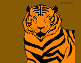 Dibujo Tigre 3 pintado por danygalan