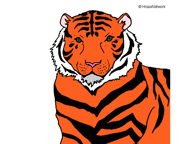 Dibujo Tigre 3 pintado por Pedro4