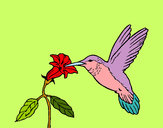 Dibujo Colibrí y una flor pintado por solsticio