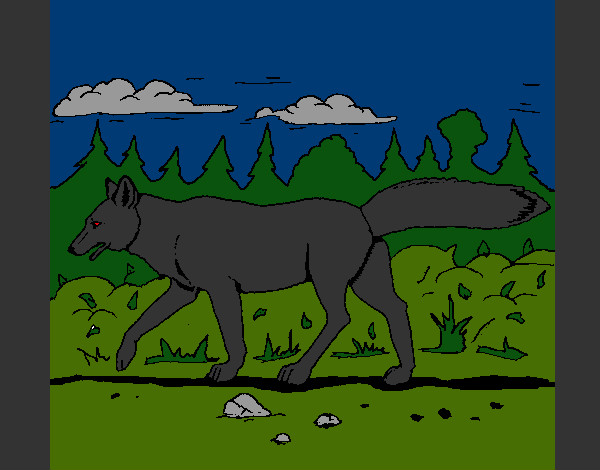 Dibujo Coyote pintado por GOKU-CROSS
